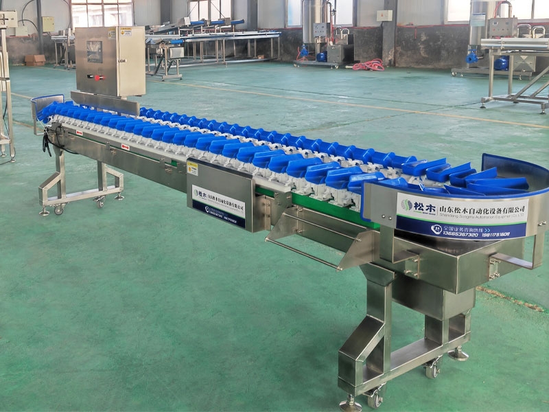 雞爪、雞翅（料盒式）重量分選機(jī)