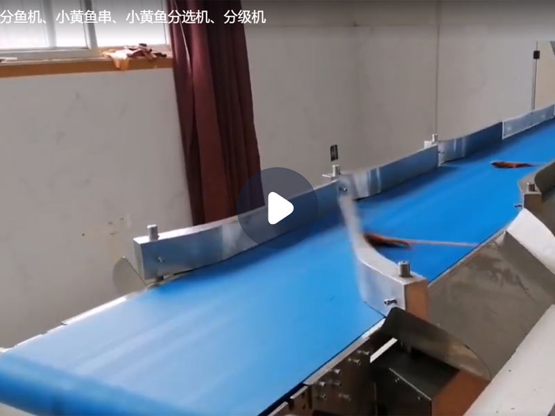 分魚機、小黃魚串、小黃魚分選機、分級機