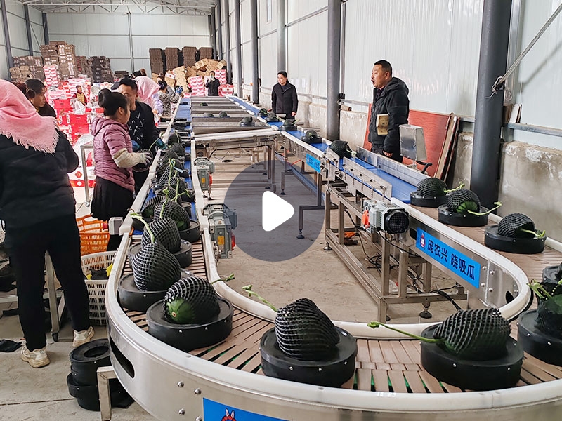 西瓜分選機